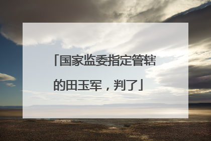 国家监委指定管辖的田玉军，判了