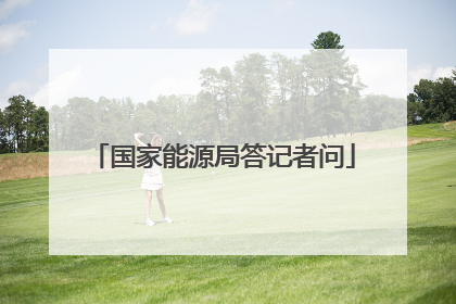 国家能源局答记者问