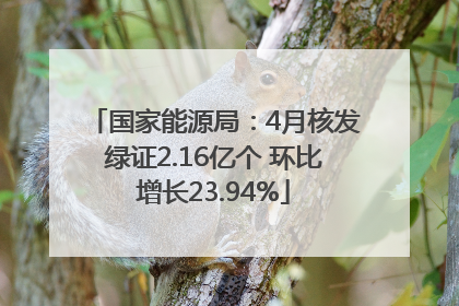 国家能源局：4月核发绿证2.16亿个 环比增长23.94%