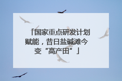 国家重点研发计划赋能，昔日盐碱滩今变“高产田”