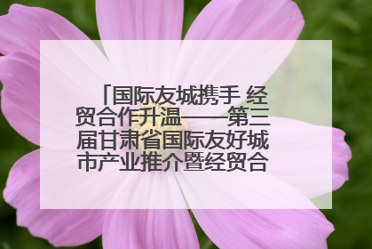 国际友城携手 经贸合作升温——第三届甘肃省国际友好城市产业推介暨经贸合作对接活动特写