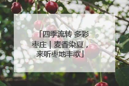 四季流转 多彩枣庄｜麦香染夏，来听枣地丰歌