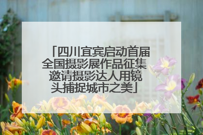 四川宜宾启动首届全国摄影展作品征集 邀请摄影达人用镜头捕捉城市之美