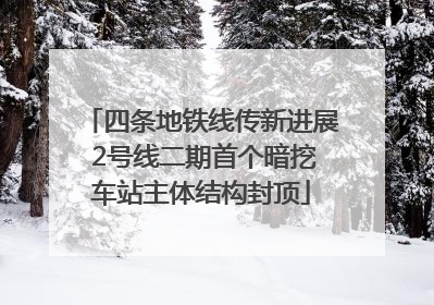 四条地铁线传新进展 2号线二期首个暗挖车站主体结构封顶