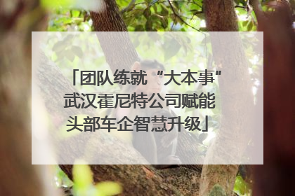 团队练就“大本事” 武汉霍尼特公司赋能头部车企智慧升级