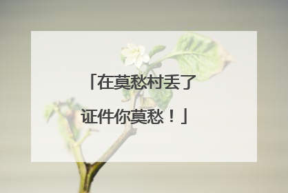 在莫愁村丢了证件你莫愁！