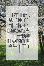在非洲，从“种子”到“杯子”的遥远距离——一颗咖啡豆的前世今生（三）