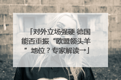 对外立场强硬 德国能否重振“欧盟领头羊”地位？专家解读→