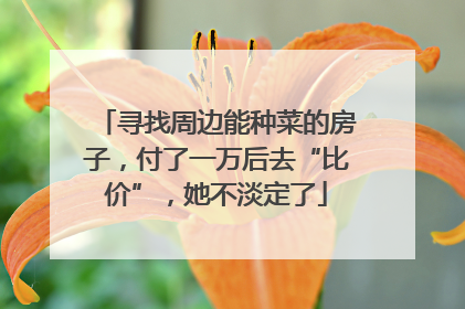 寻找周边能种菜的房子，付了一万后去“比价”，她不淡定了