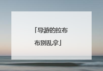 导游的拉布布别乱拿