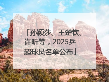 孙颖莎、王楚钦、许昕等，2025乒超球员名单公布