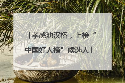 孝感池汉桥，上榜“中国好人榜”候选人