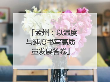 孟州：以温度与速度书写高质量发展答卷