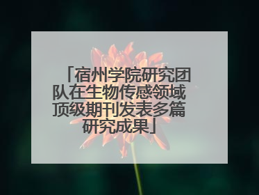 宿州学院研究团队在生物传感领域顶级期刊发表多篇研究成果