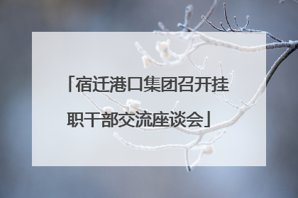 宿迁港口集团召开挂职干部交流座谈会