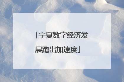 宁夏数字经济发展跑出加速度