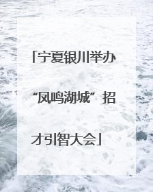 宁夏银川举办“凤鸣湖城”招才引智大会