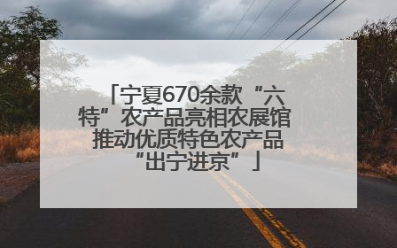 宁夏670余款“六特”农产品亮相农展馆 推动优质特色农产品“出宁进京”