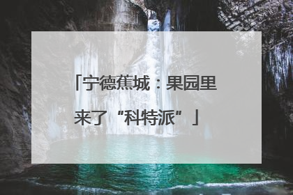 宁德蕉城：果园里来了“科特派”