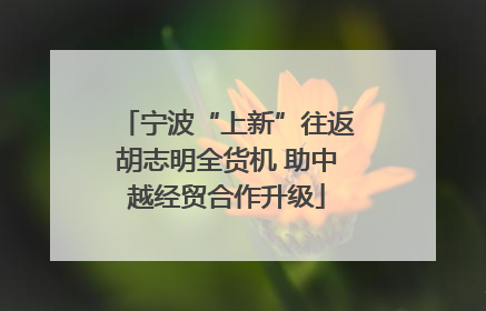 宁波“上新”往返胡志明全货机 助中越经贸合作升级