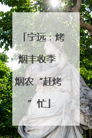 宁远：烤烟丰收季 烟农“赶烤”忙