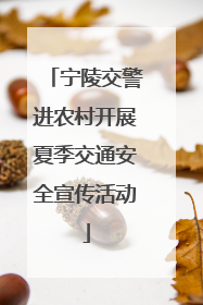 宁陵交警进农村开展夏季交通安全宣传活动