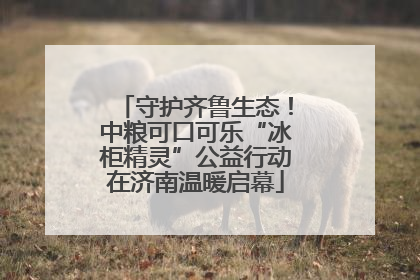 守护齐鲁生态！中粮可口可乐“冰柜精灵”公益行动在济南温暖启幕