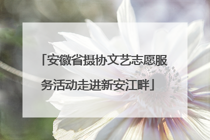 安徽省摄协文艺志愿服务活动走进新安江畔