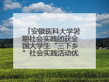 安徽医科大学暑期社会实践团获全国大学生“三下乡”社会实践活动优秀团队
