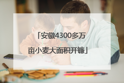 安徽4300多万亩小麦大面积开镰