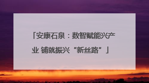 安康石泉：数智赋能兴产业 铺就振兴“新丝路”