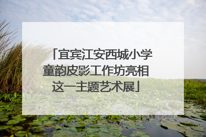 宜宾江安西城小学童韵皮影工作坊亮相这一主题艺术展