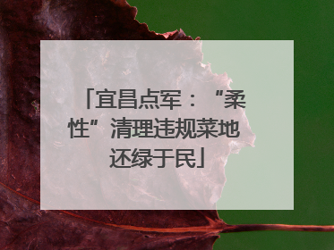 宜昌点军：“柔性”清理违规菜地 还绿于民