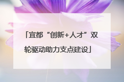 宜都“创新+人才”双轮驱动助力支点建设