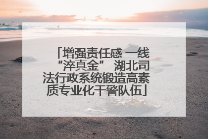 增强责任感 一线“淬真金” 湖北司法行政系统锻造高素质专业化干警队伍
