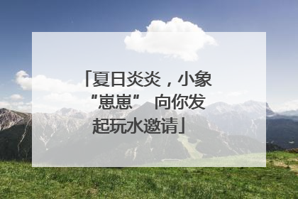 夏日炎炎，小象“崽崽” 向你发起玩水邀请
