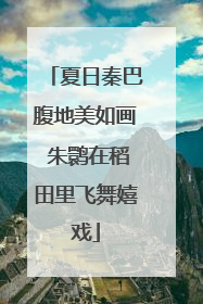 夏日秦巴腹地美如画 朱鹮在稻田里飞舞嬉戏