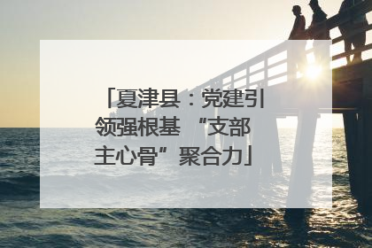夏津县：党建引领强根基 “支部主心骨”聚合力