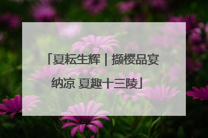 夏耘生辉｜撷樱品宴纳凉 夏趣十三陵