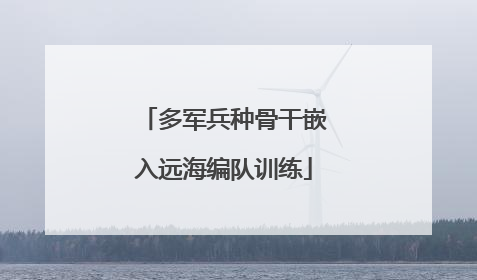 多军兵种骨干嵌入远海编队训练