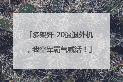 多架歼-20逼退外机，我空军霸气喊话！