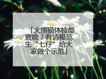 大熊猫体检都查啥？有请模范生“七仔”给大家做个示范
