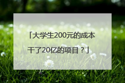 大学生200元的成本干了20亿的项目？