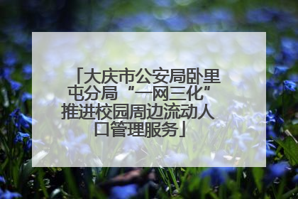 大庆市公安局卧里屯分局“一网三化”推进校园周边流动人口管理服务
