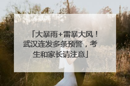 大暴雨+雷暴大风！武汉连发多条预警，考生和家长请注意