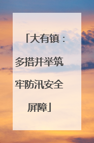 大有镇：多措并举筑牢防汛安全屏障