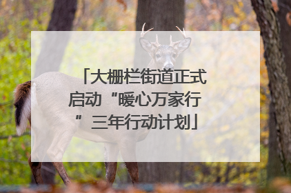 大栅栏街道正式启动“暖心万家行”三年行动计划