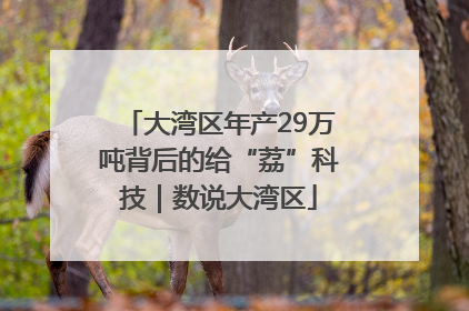 大湾区年产29万吨背后的给“荔”科技｜数说大湾区
