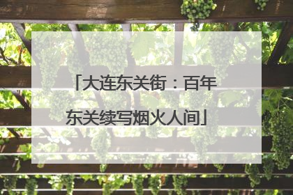 大连东关街：百年东关续写烟火人间