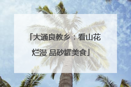 大通良教乡：看山花烂漫 品砂罐美食